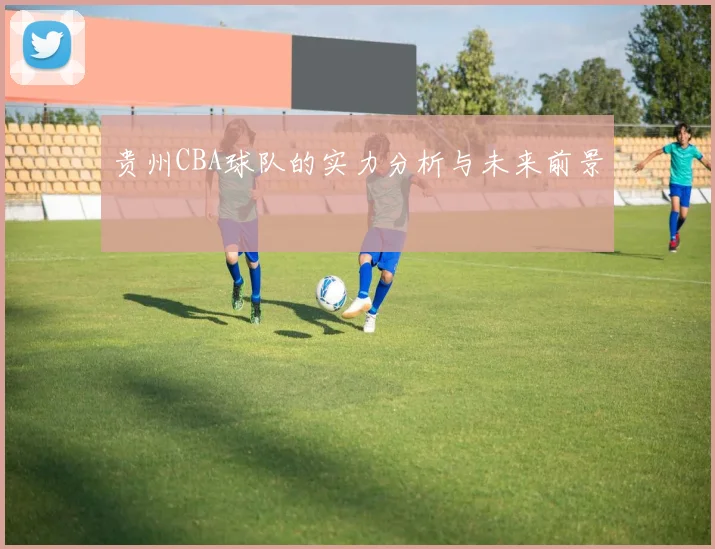 贵州CBA球队的实力分析与未来前景