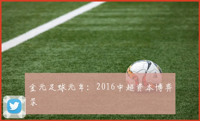 金元足球元年：2016中超资本博弈录