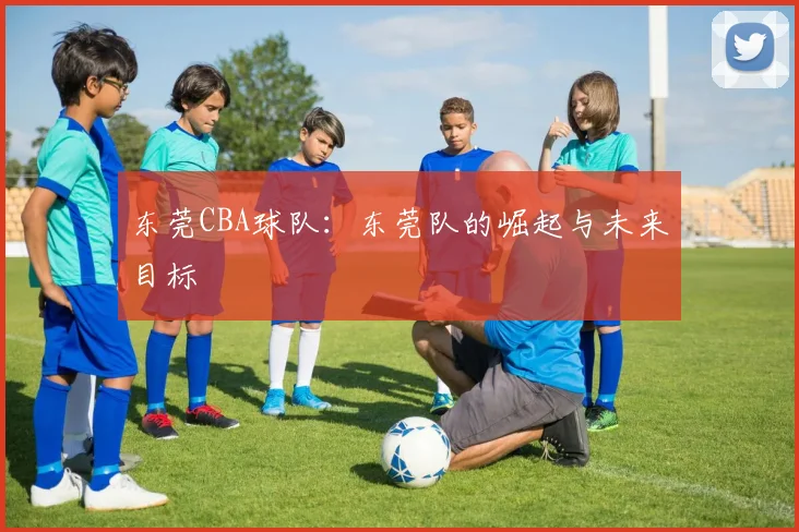 东莞CBA球队：东莞队的崛起与未来目标