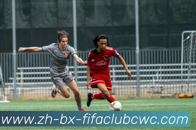 App Interface Preview