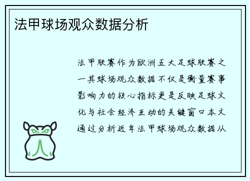 法甲球场观众数据分析